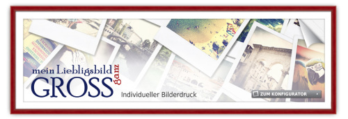 bildeinrahmung online