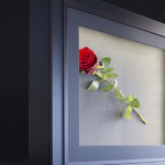  Nielsen LED-Box rahmt Gegenstände mit Licht